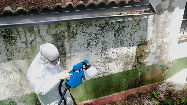 Top rated local Mold Remediation specialists in Quantico, VA